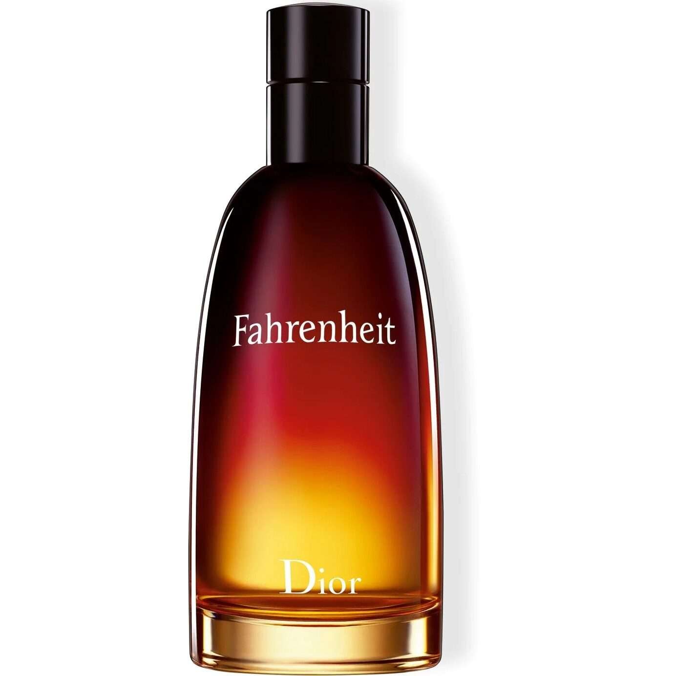 Dior Fahrenheit Eau de Toilette 100 ml